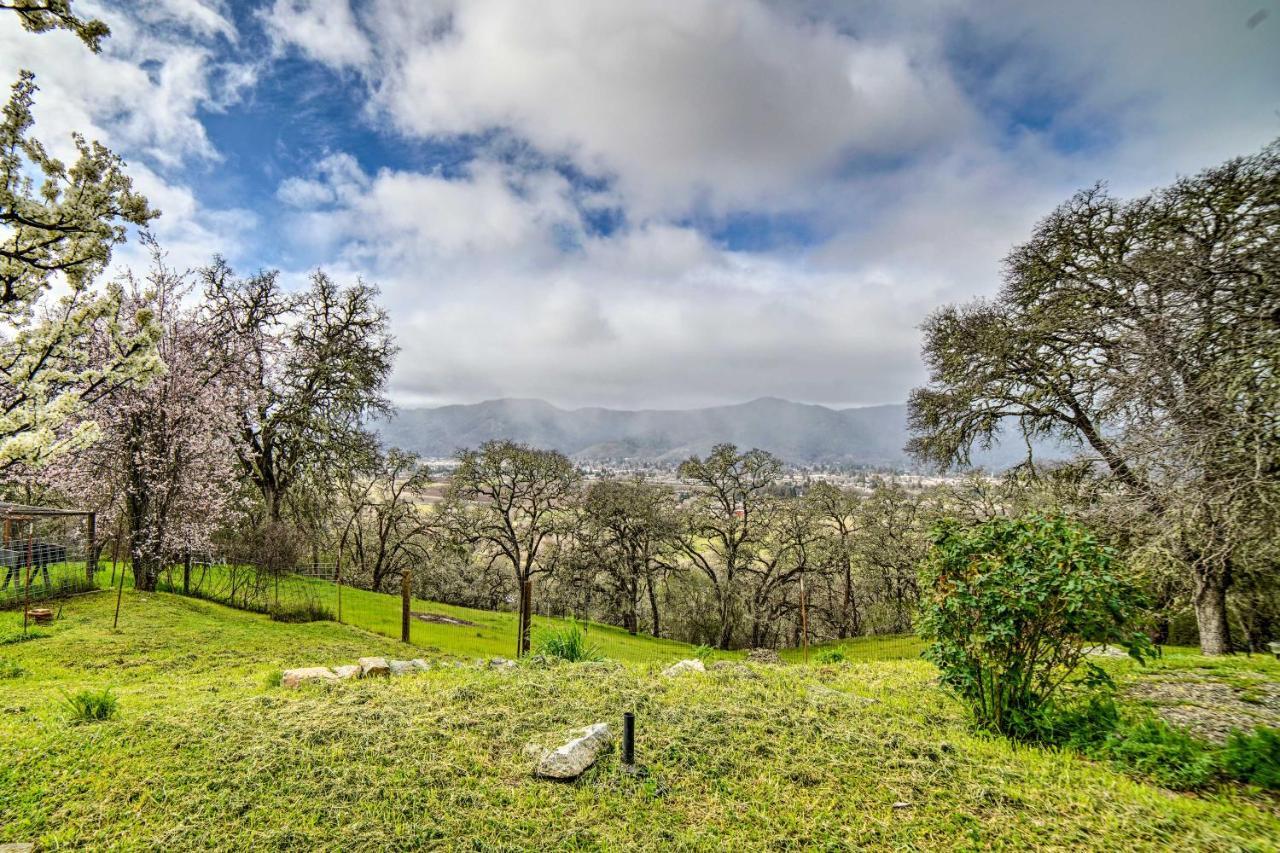 Hilltop Loft Ukiah Vacation Rental! Extérieur photo