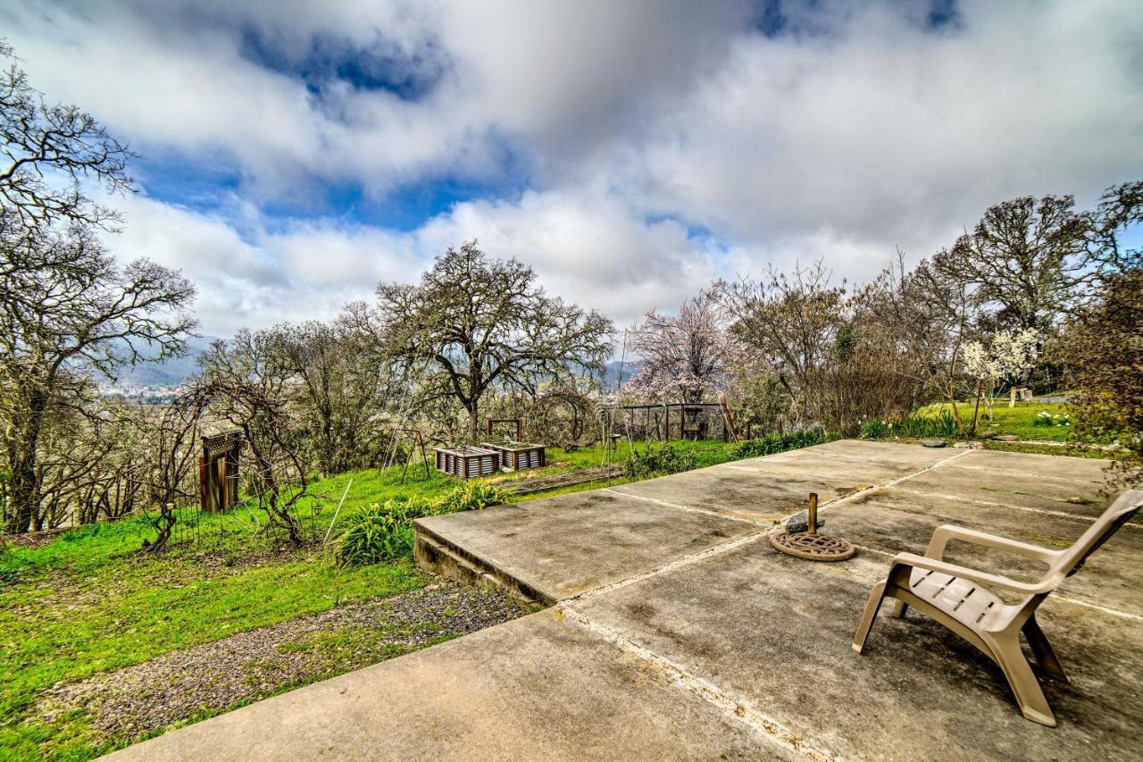 Hilltop Loft Ukiah Vacation Rental! Extérieur photo