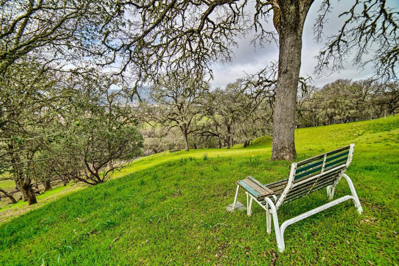 Hilltop Loft Ukiah Vacation Rental! Extérieur photo