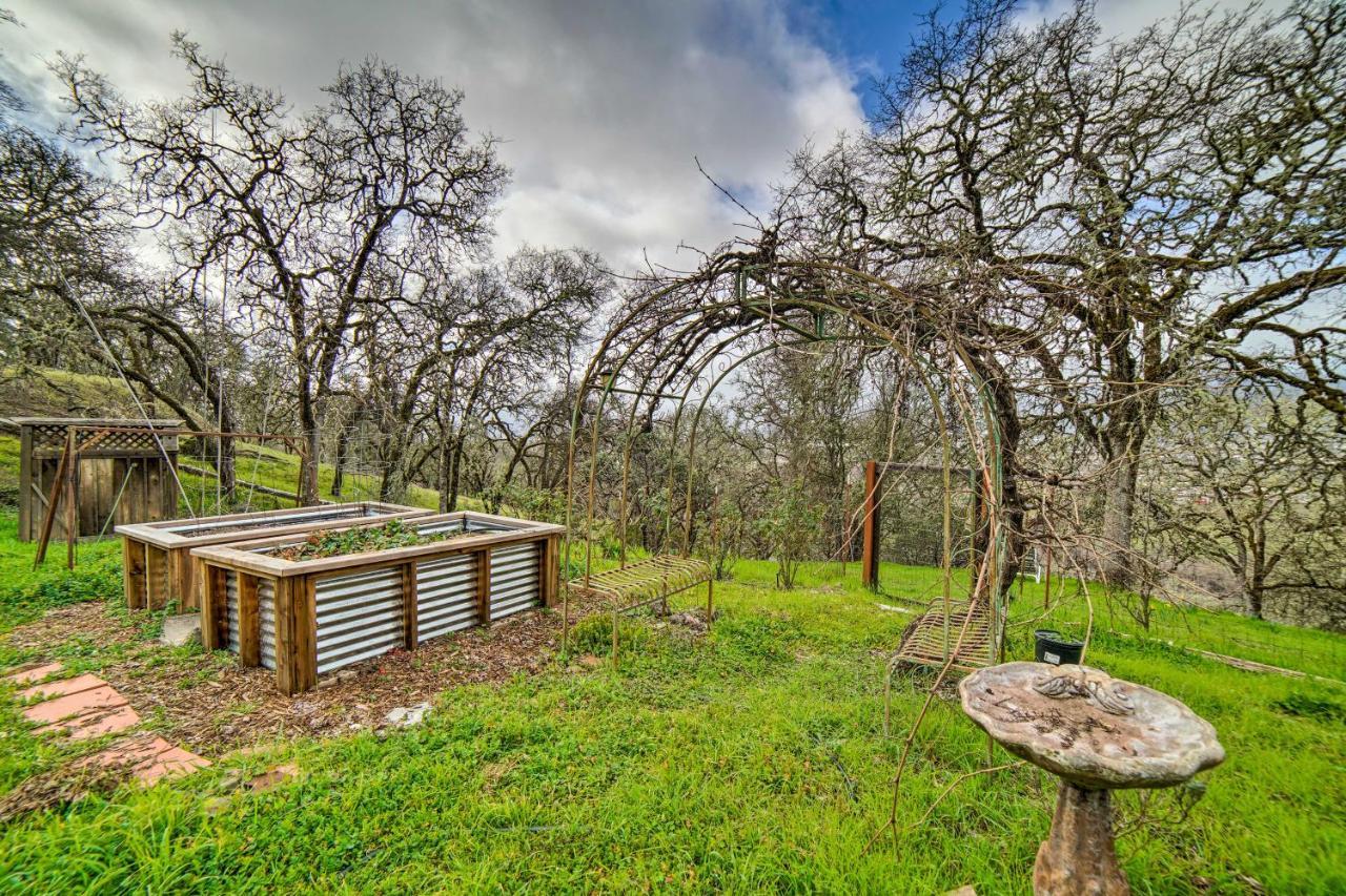 Hilltop Loft Ukiah Vacation Rental! Extérieur photo